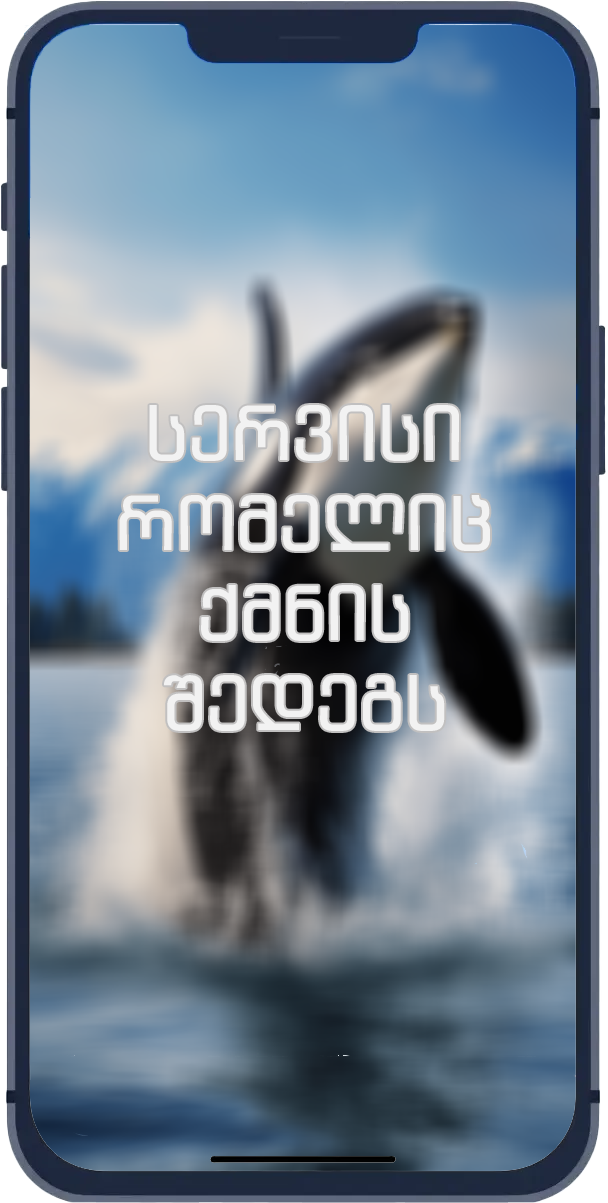 Phone Mockup